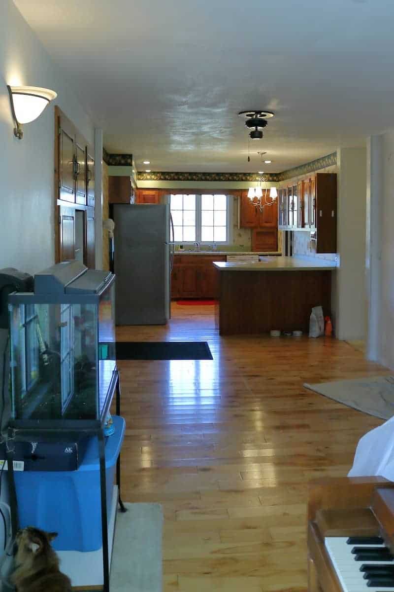 Looking towards kitchen - wood floor, green counters, large window