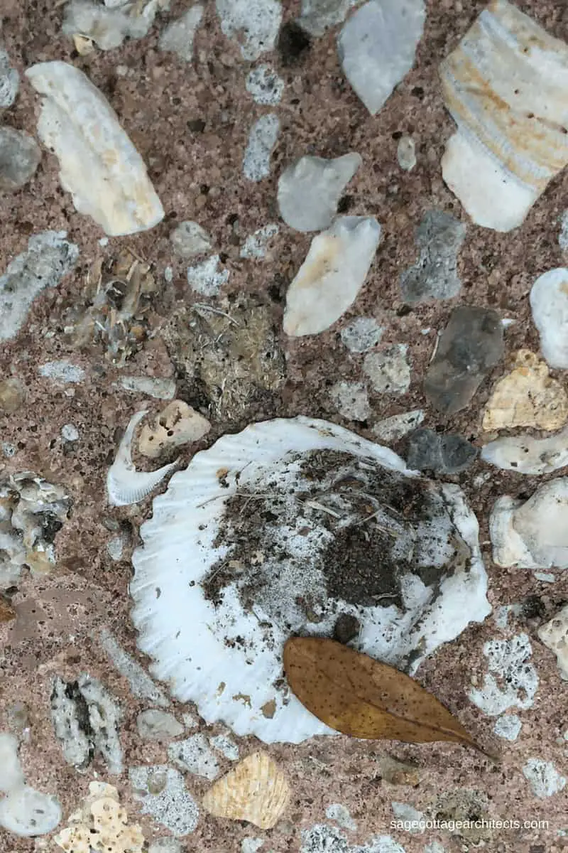 Disney's Old Key West Resort concrete sidewalk with inlaid seashells.