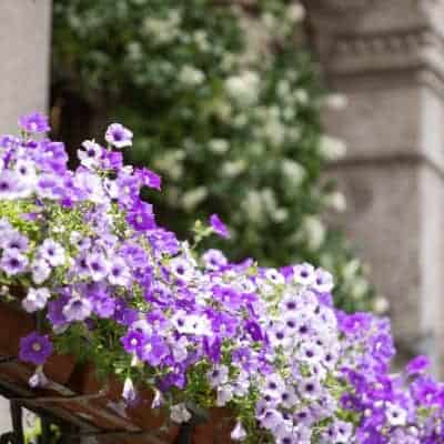 Balcony Decoration: 5 Design Elements for a Great Balcony