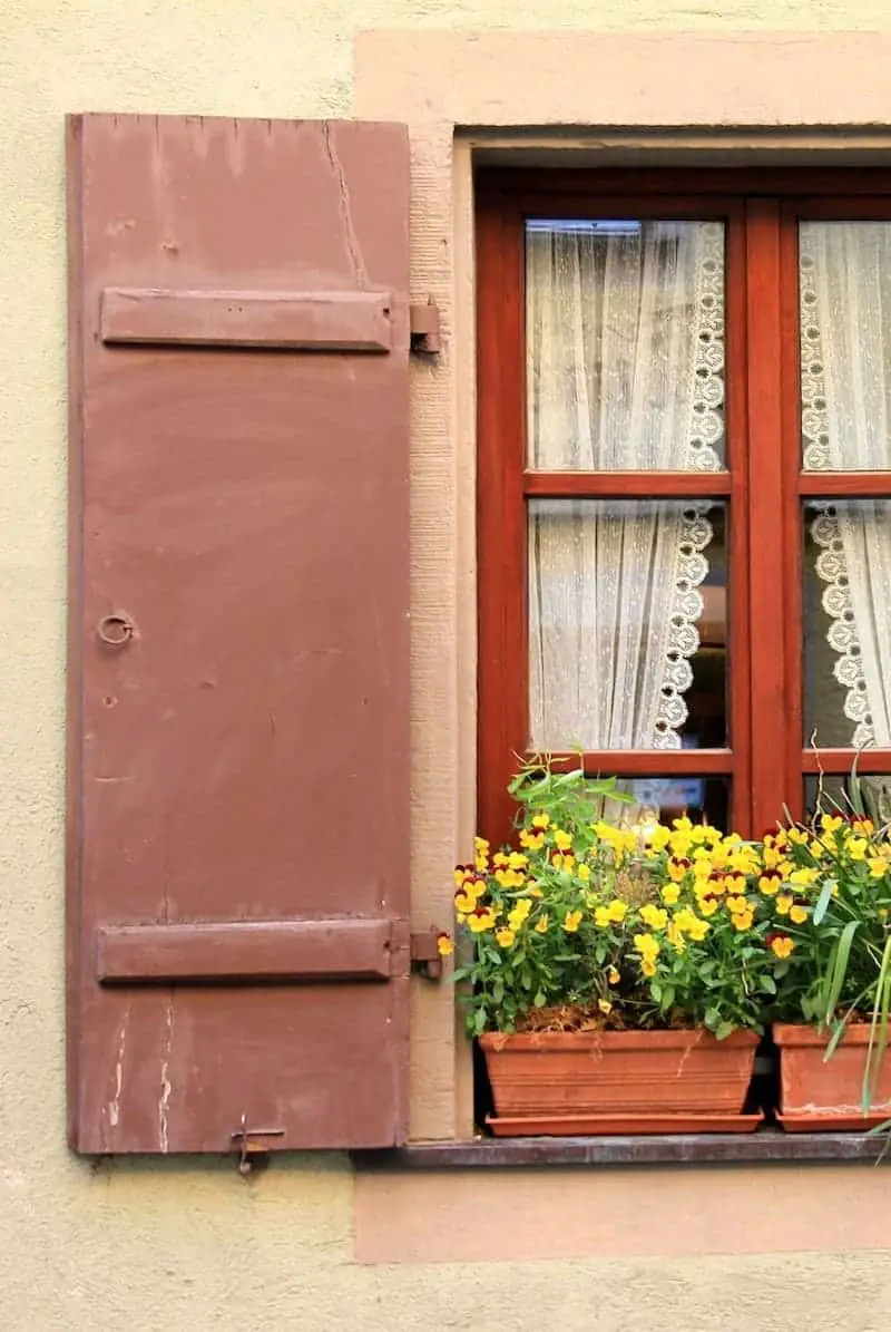 Dark red exterior shutter with window and planter boxes