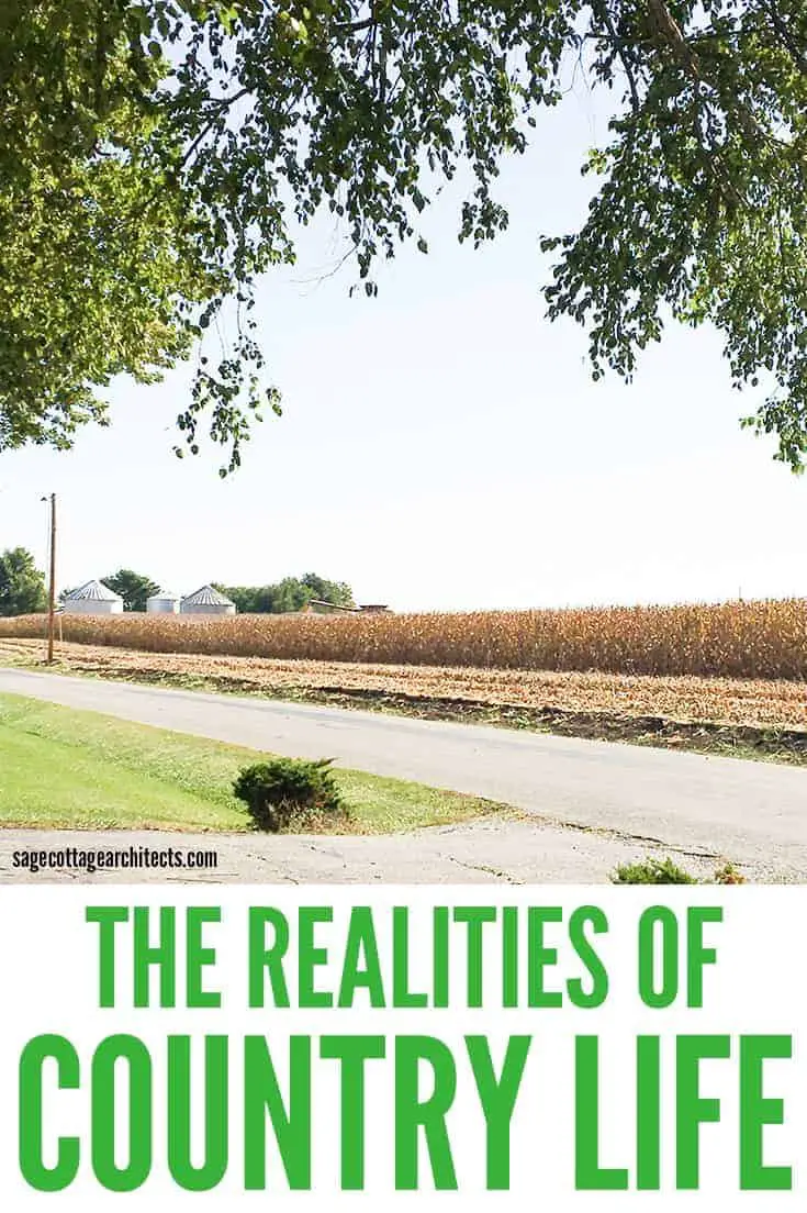 Photo collage of a country life: cornfield at harvest.