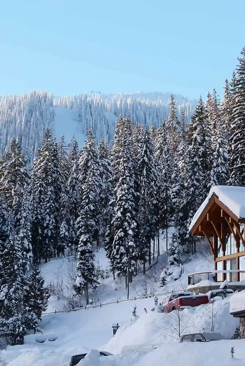 Picture of snow covered mountain ski run, trees, and house that are perfect for a ski vacation.