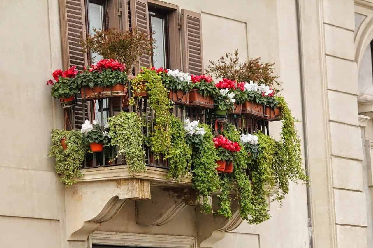 Photo of plants and flowers overflowing a small balcony.