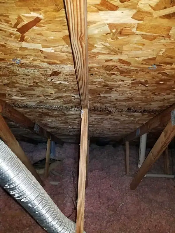 Attic Mold Remediation Calling In The Pro's • Sage Cottage Architects