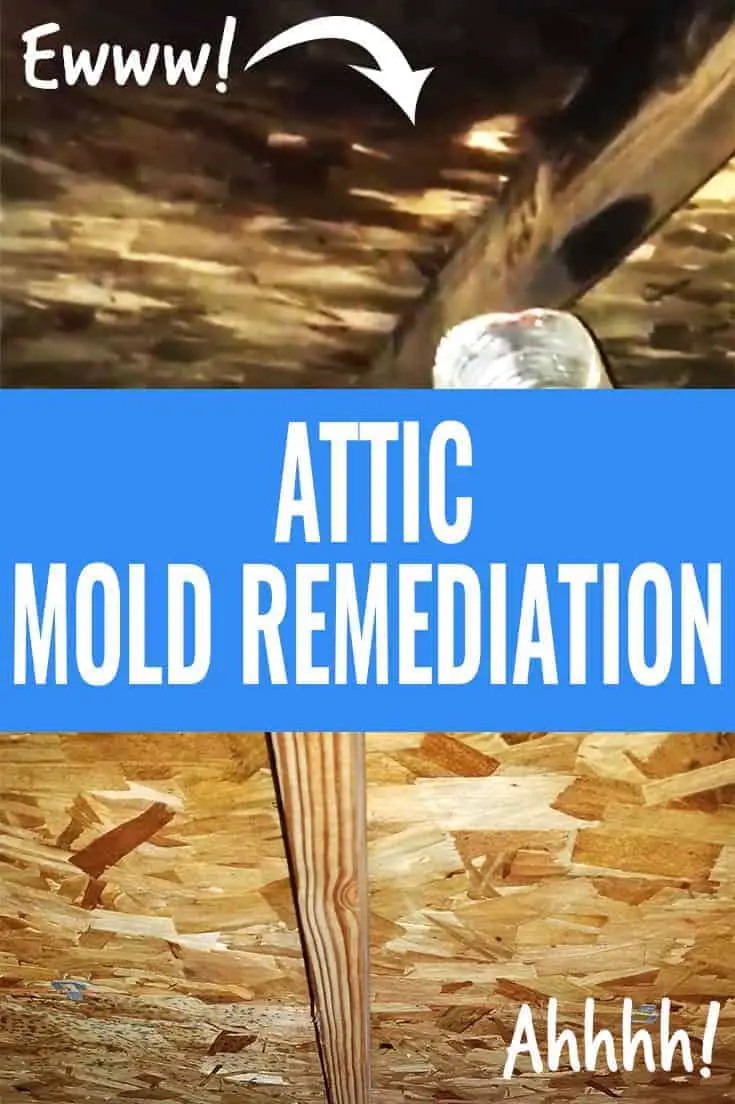 Photo collage of attic mold of roof sheathing, and after mold remediation.